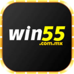 favicon-win55