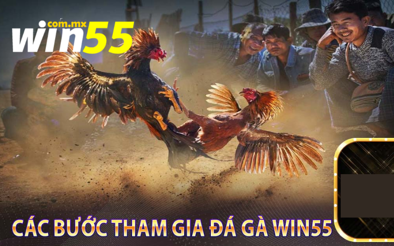 Tỷ lệ kèo đá gà Win55 chuẩn xác chắc thắng